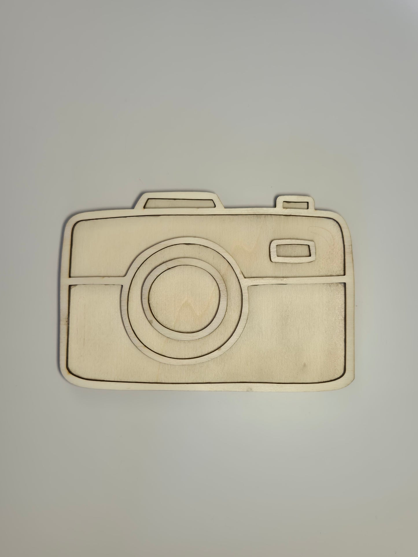Vultray Camera - Pico's Handmade