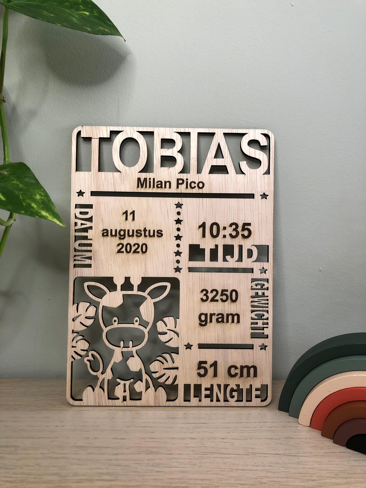 Geboortebordje giraffe - Pico's Handmade